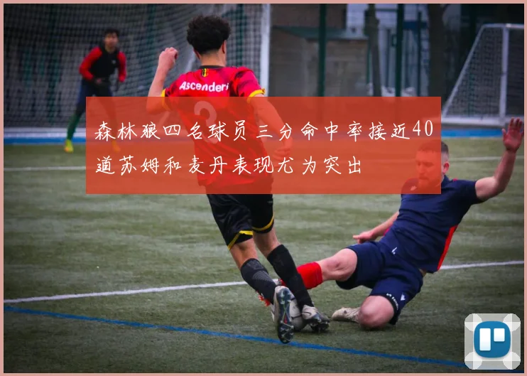森林狼四名球员三分命中率接近40道苏姆和麦丹表现尤为突出
